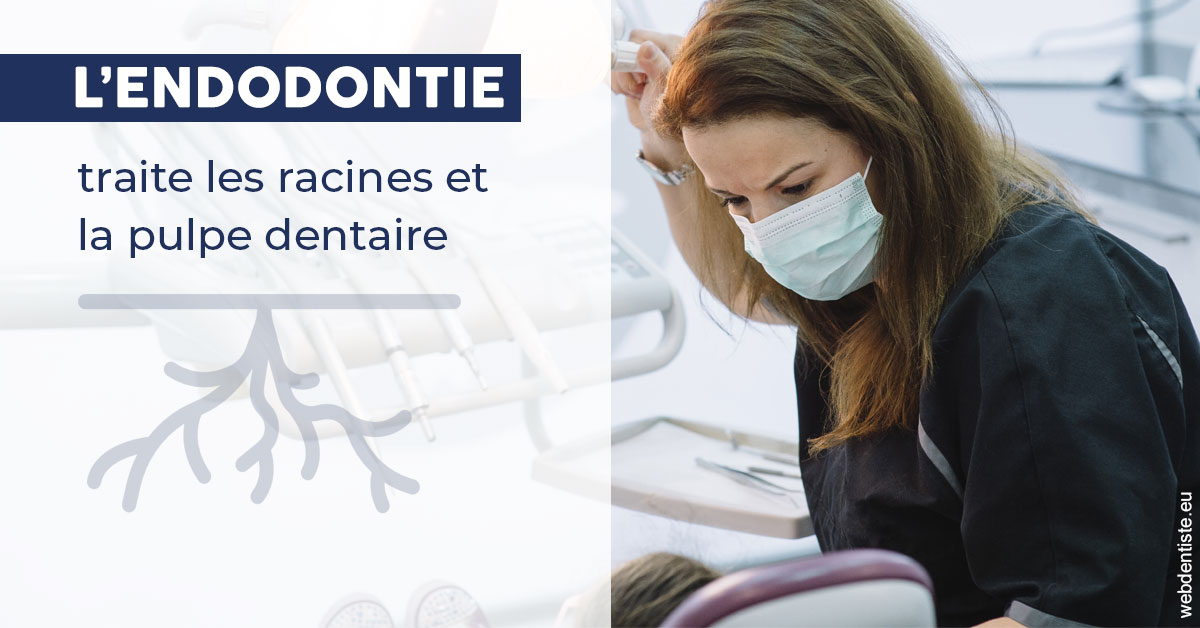 https://selarl-berdah.chirurgiens-dentistes.fr/L'endodontie 1